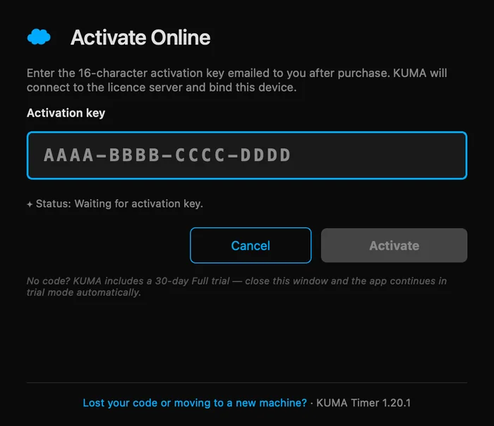 The activation window: paste the key and press Activate.